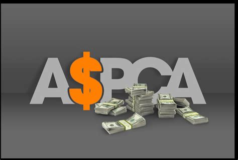 aspca charity rating 2023|Fact check: Widely shared post on ASPCA distorts its spending .